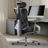 Ergonomic Chair 2X